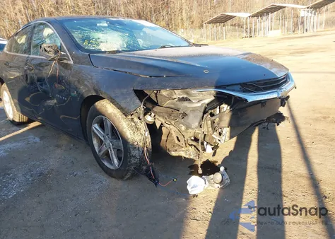 2023 Chevrolet Malibu Fwd 1Lt z USA, uszkodzony, nr VIN 1G1ZD5ST0PF189491